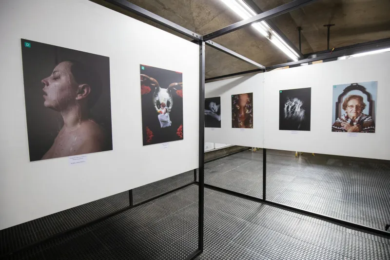 Blood and Canvas: Where Crime Fiction Meets the Gallery Wall