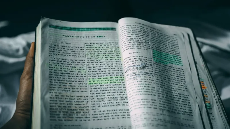 Ink in the Margins: The Secret Lives of Britain's Annotated Library Books